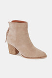 Suede Point Toe Ankle Booties